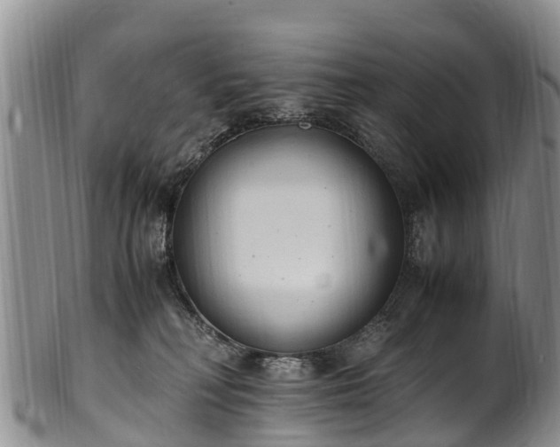 X0000102370230200808081159