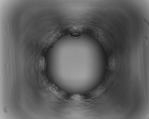 X0000102370231200808081159