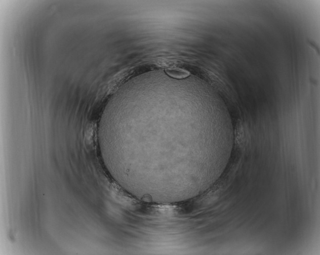 X0000102370233200808081159