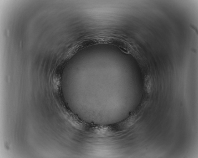 X0000102370235200808081159