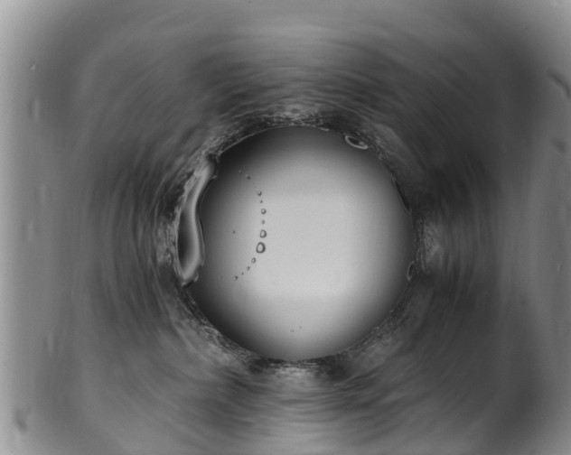 X0000102370236200808081159