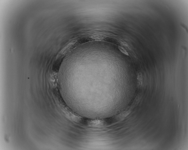 X0000102370237200808081159