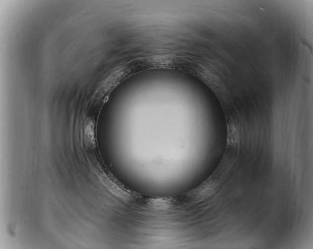 X0000102370238200808081159