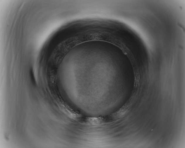 X0000102370239200808081159