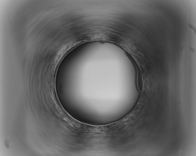 X0000102370241200808081159