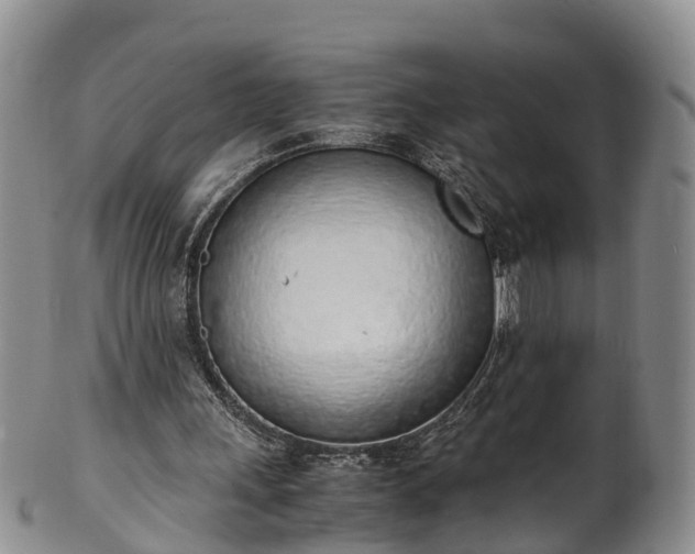 X0000102370243200808081159