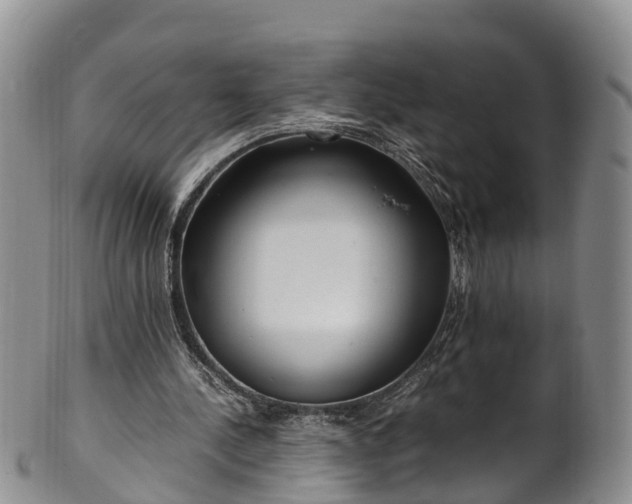 X0000102370244200808081159