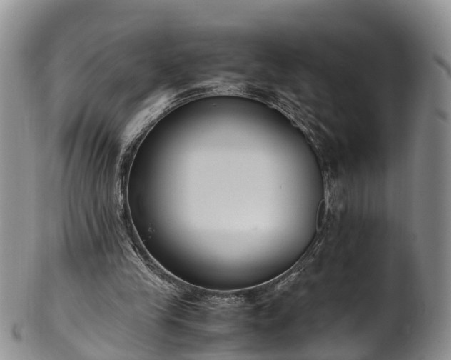 X0000102370245200808081159