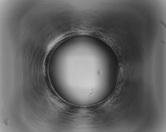 X0000102370246200808081159