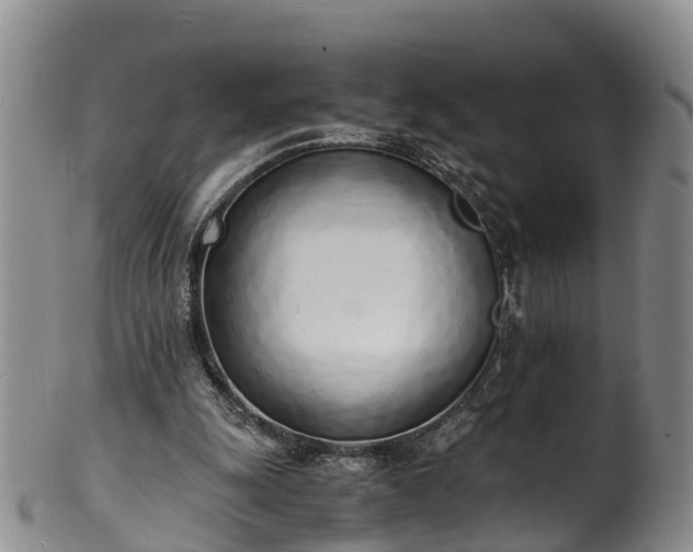 X0000102370247200808081159