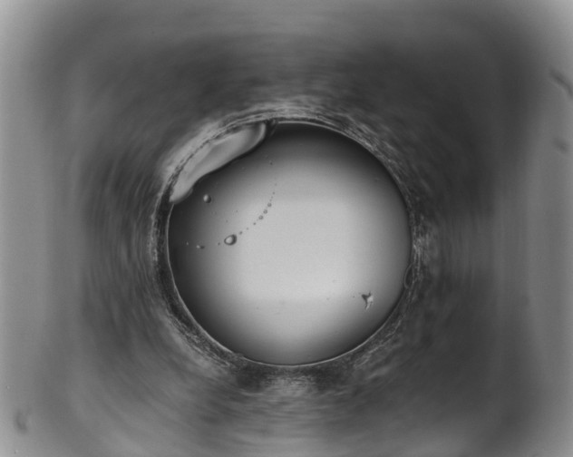 X0000102370248200808081159