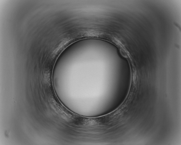 X0000102370249200808081159