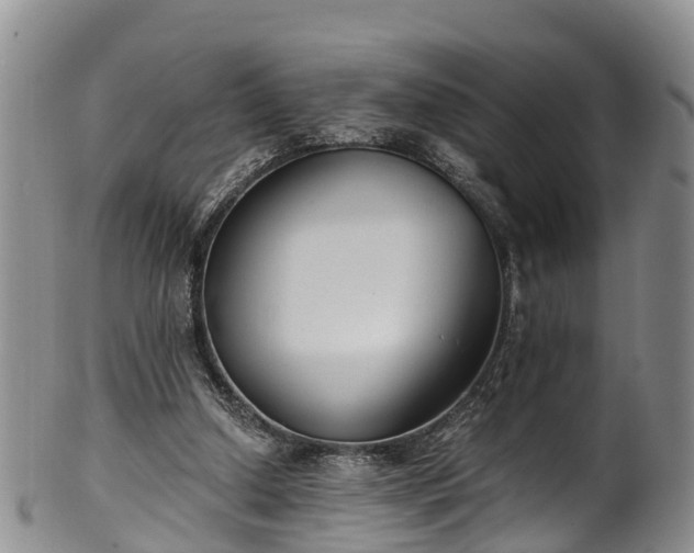 X0000102370250200808081159