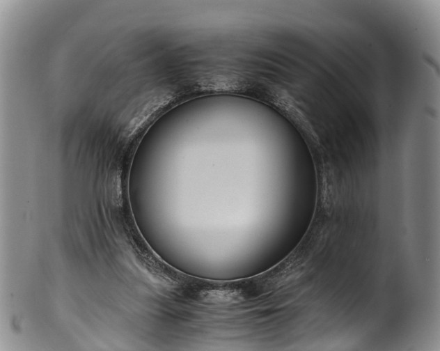 X0000102370251200808081159