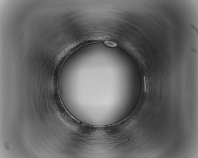 X0000102370252200808081159