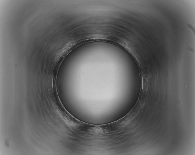 X0000102370253200808081159