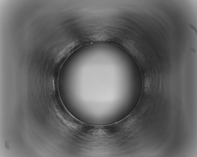 X0000102370254200808081159