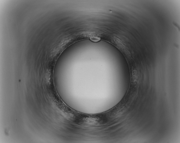 X0000102370255200808081159