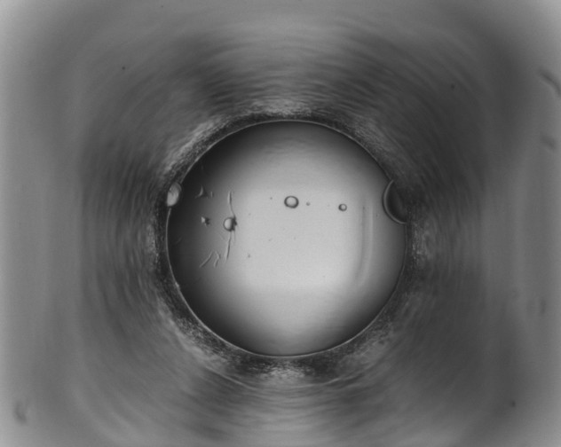 X0000102370256200808081159