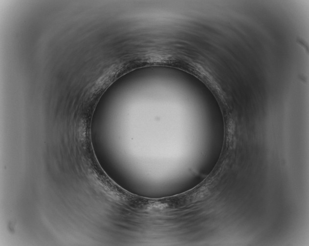 X0000102370257200808081159