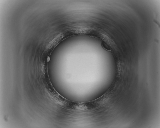 X0000102370258200808081159