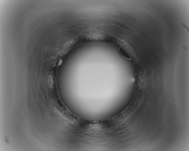 X0000102370259200808081159