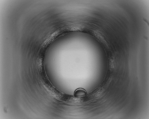 X0000102370260200808081159