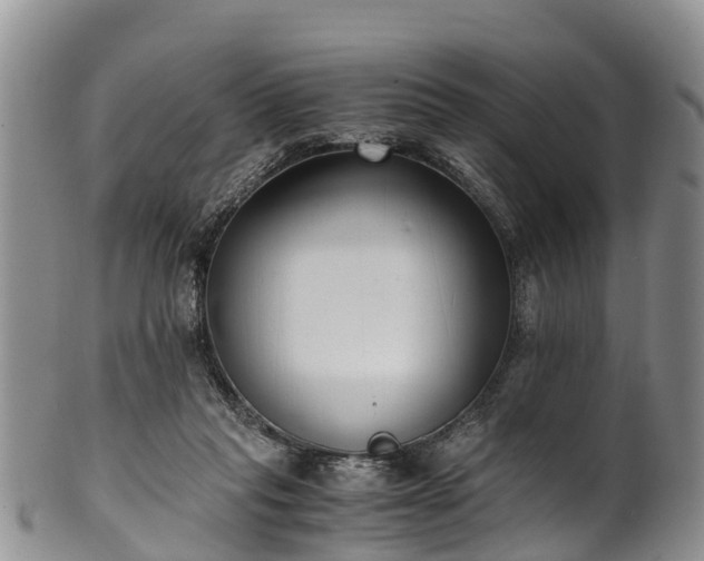 X0000102370261200808081159