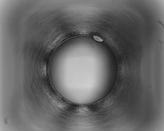 X0000102370262200808081159