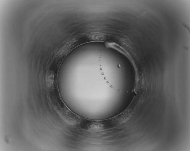 X0000102370263200808081159