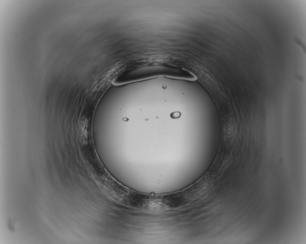 X0000102370264200808081159