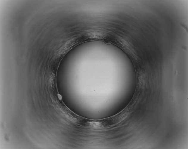 X0000102370265200808081159