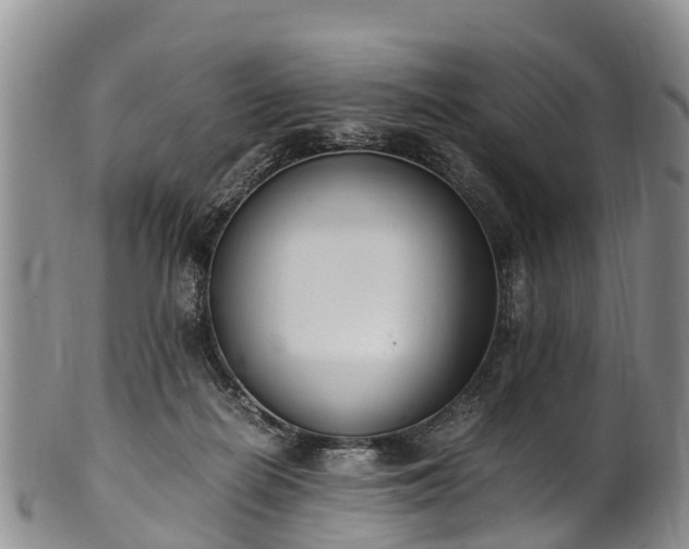 X0000102370266200808081159