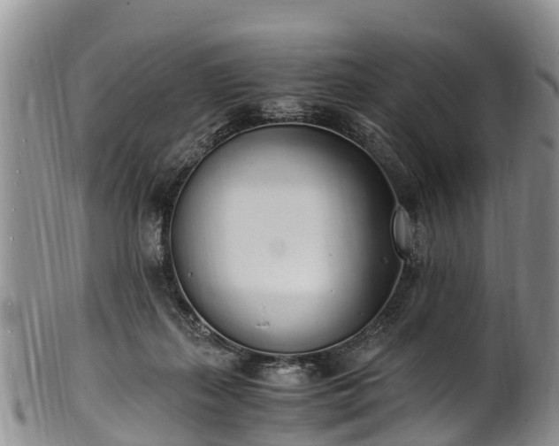 X0000102370267200808081159