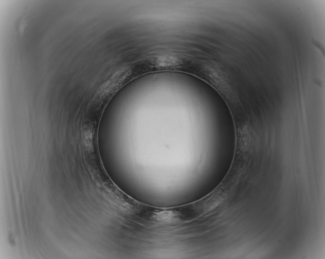 X0000102370269200808081159