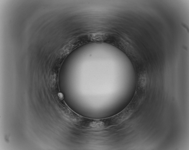 X0000102370271200808081159