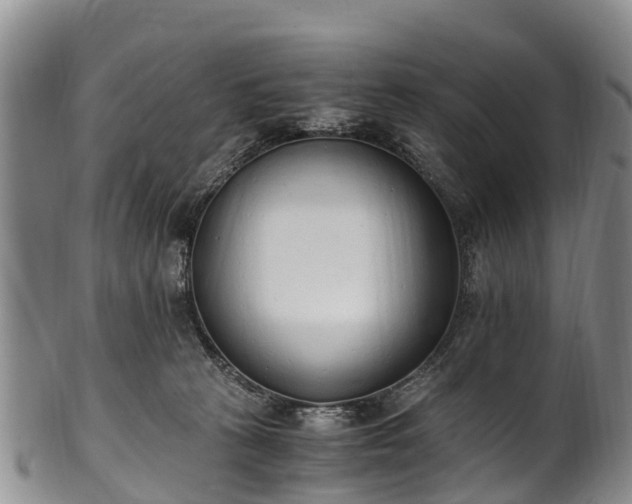 X0000102370273200808081159