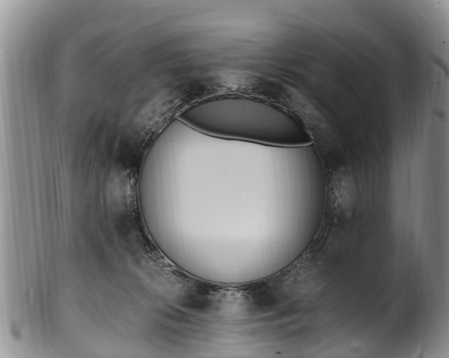 X0000102370276200808081159