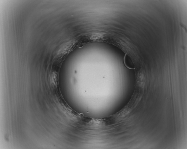 X0000102370280200808081159