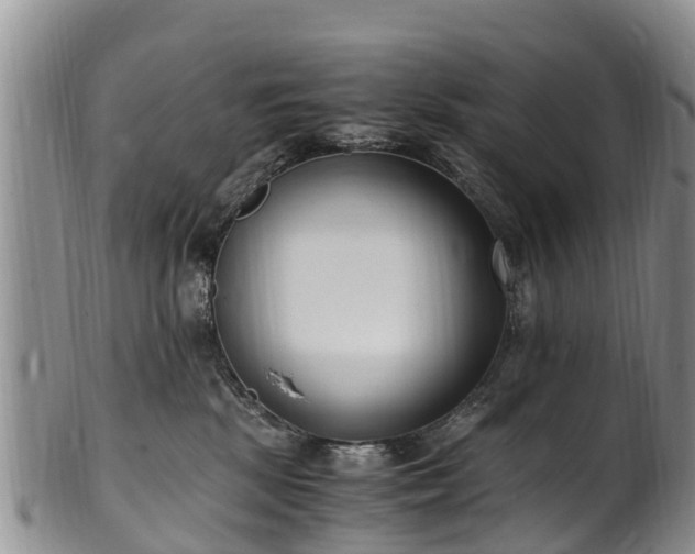 X0000102370281200808081159