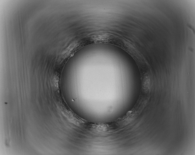 X0000102370282200808081159