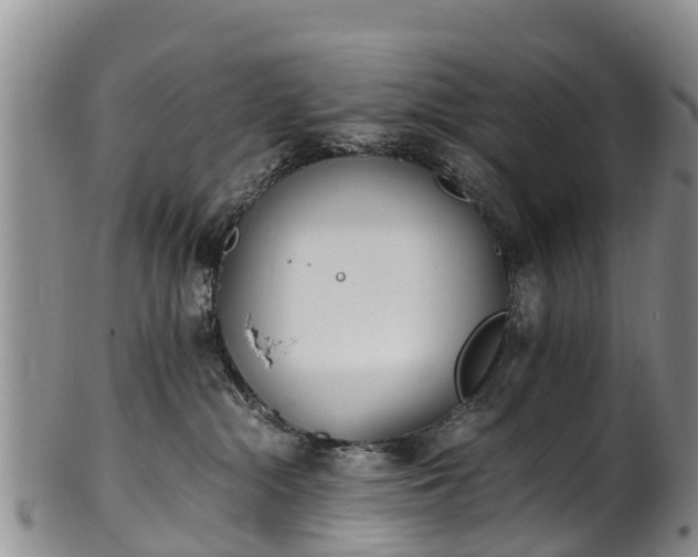 X0000102370284200808081159