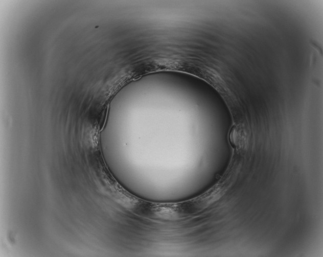 X0000102370285200808081159