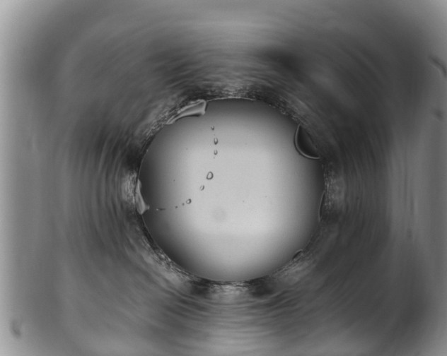 X0000102370286200808081159