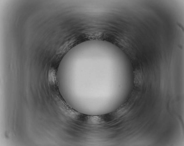 X0000102370287200808081159