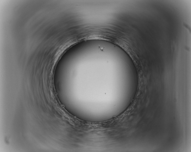 X0000102370289200808081159