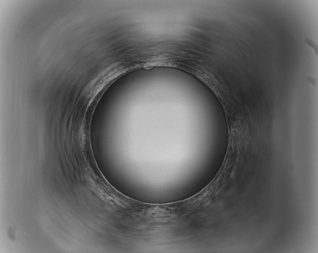 X0000102370290200808081159