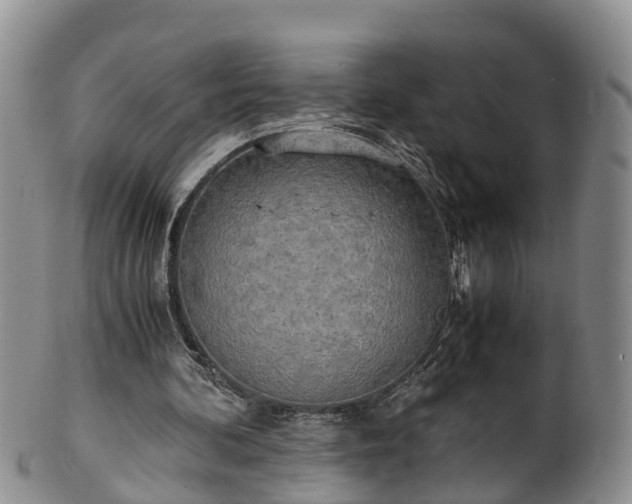 X0000102370292200808081159