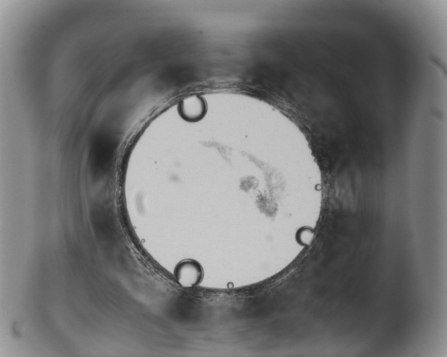 X0000102370293200808081159