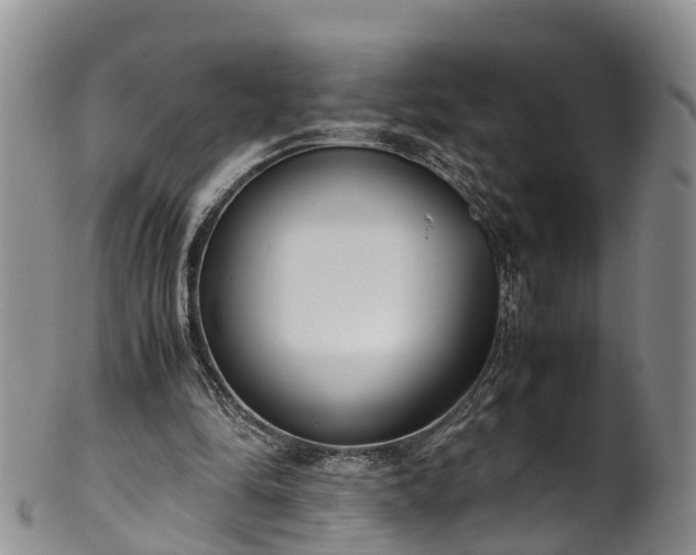 X0000102370294200808081159